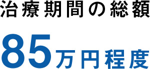 治療期間の総額85万円程度